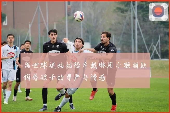 离世球迷姑姑怒斥戴琳用小额捐款侮辱孩子的尊严与情感